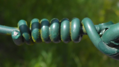 Detail; Publicdomain; Cc0; Freeimage;.jpg