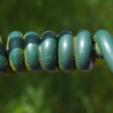 Detail; Publicdomain; Cc0; Freeimage;