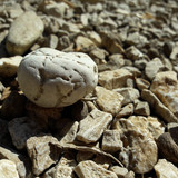 Detail; Publicdomain; Cc0; Freeimage;