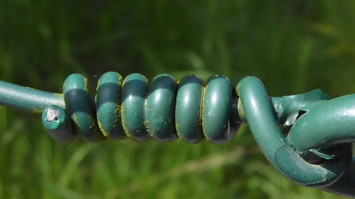 Detail; Publicdomain; Cc0; Freeimage;.jpg