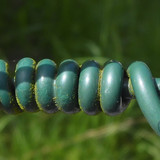 Detail; Publicdomain; Cc0; Freeimage;