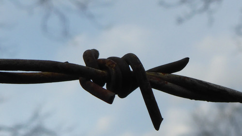 Detail; Publicdomain; Cc0; Freeimage;.jpg