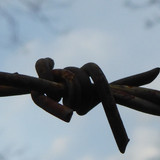 Detail; Publicdomain; Cc0; Freeimage;