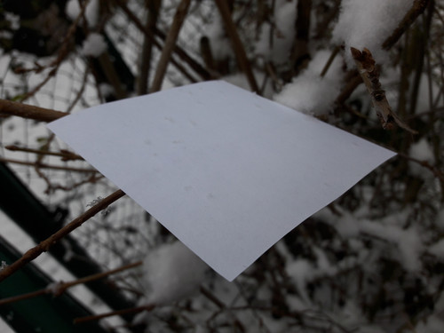 Paper; Publicdomain; Cc0; Freeimage;.jpg