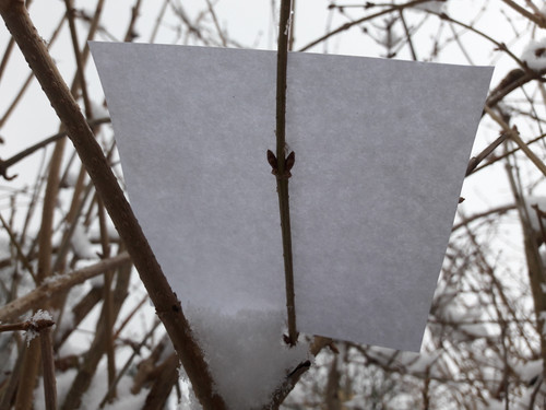 Paper; Publicdomain; Cc0; Freeimage;.jpg