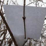 Paper; Publicdomain; Cc0; Freeimage;