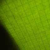 Paper; Publicdomain; Cc0; Freeimage;