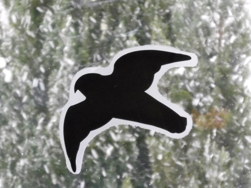 Fauna Bird Publicdomain (5).jpg