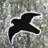 Fauna Bird Publicdomain (5)