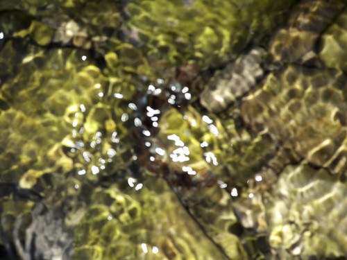 Abstract; Publicdomain; Cc0; Freeimage;.jpg