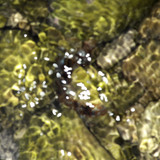 Abstract; Publicdomain; Cc0; Freeimage;