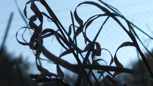 Abstract; Publicdomain; Cc0; Freeimage;.jpg