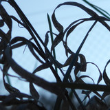 Abstract; Publicdomain; Cc0; Freeimage;