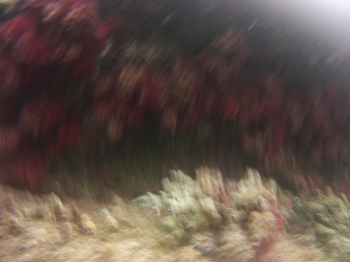 Abstract; Publicdomain; Cc0; Freeimage;.jpg