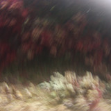 Abstract; Publicdomain; Cc0; Freeimage;