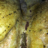 Crabs; Publicdomain; Cc0; Freeimage;