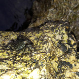 Crabs; Publicdomain; Cc0; Freeimage;