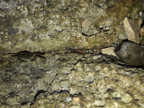 Crabs; Publicdomain; Cc0; Freeimage;.jpg