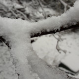 Snow; Publicdomain; Cc0; Freeimage;