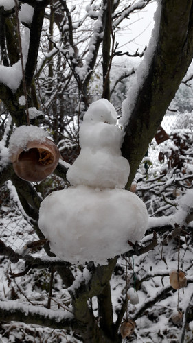 Snow; Publicdomain; Cc0; Freeimage;.jpg