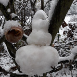 Snow; Publicdomain; Cc0; Freeimage;