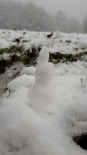 Snow; Publicdomain; Cc0; Freeimage;.jpg