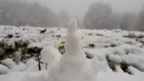 Snow; Publicdomain; Cc0; Freeimage;.jpg