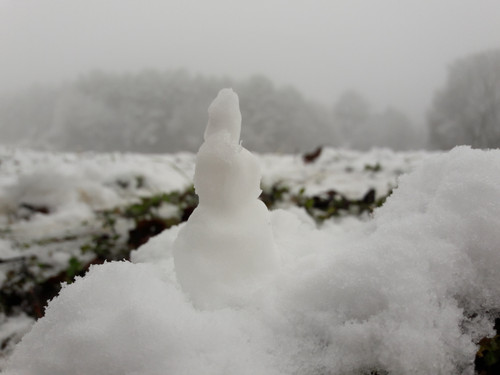 Snow; Publicdomain; Cc0; Freeimage;