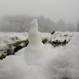 Snow; Publicdomain; Cc0; Freeimage;