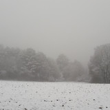 Snow; Publicdomain; Cc0; Freeimage;