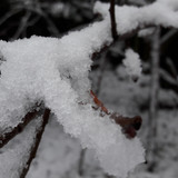 Snow; Publicdomain; Cc0; Freeimage;