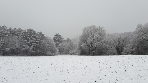 Snow; Publicdomain; Cc0; Freeimage;.jpg