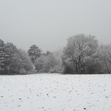 Snow; Publicdomain; Cc0; Freeimage;