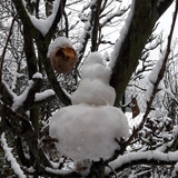 Snow; Publicdomain; Cc0; Freeimage;