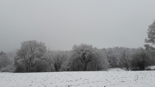 Snow; Publicdomain; Cc0; Freeimage;.jpg