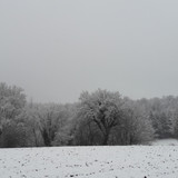 Snow; Publicdomain; Cc0; Freeimage;