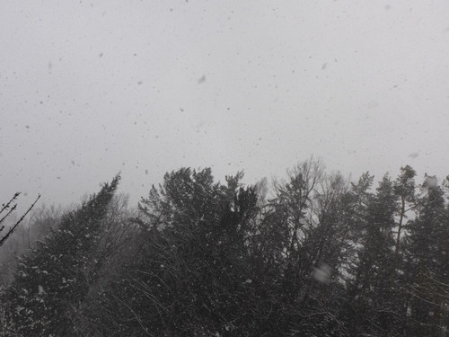 Snow; Publicdomain; Cc0; Freeimage;.jpg