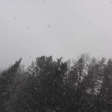 Snow; Publicdomain; Cc0; Freeimage;