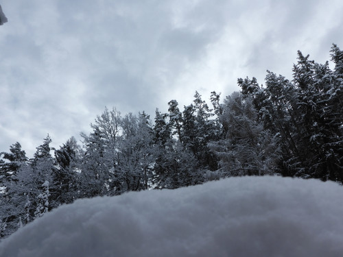 Snow; Publicdomain; Cc0; Freeimage;