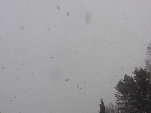 Snow; Publicdomain; Cc0; Freeimage;.jpg