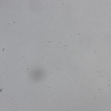 Snow; Publicdomain; Cc0; Freeimage;