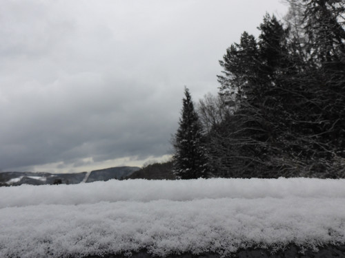 Snow; Publicdomain; Cc0; Freeimage;.jpg