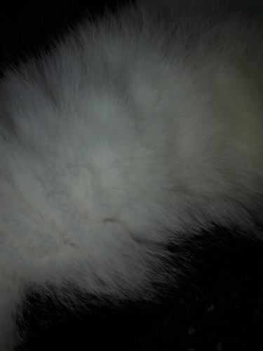 Abstract; Publicdomain; Cc0; Freeimage;.jpg