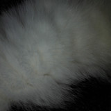 Abstract; Publicdomain; Cc0; Freeimage;