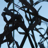 Abstract; Publicdomain; Cc0; Freeimage;