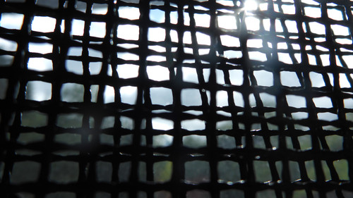 Abstract; Publicdomain; Cc0; Freeimage;.jpg