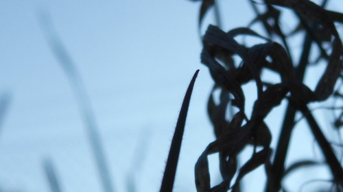 Abstract; Publicdomain; Cc0; Freeimage;.jpg