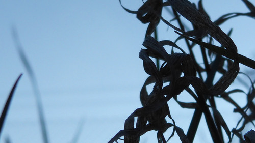 Abstract; Publicdomain; Cc0; Freeimage;.jpg