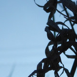 Abstract; Publicdomain; Cc0; Freeimage;