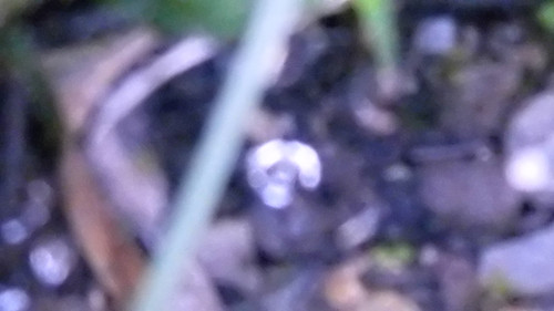 Abstract; Publicdomain; Cc0; Freeimage;.jpg